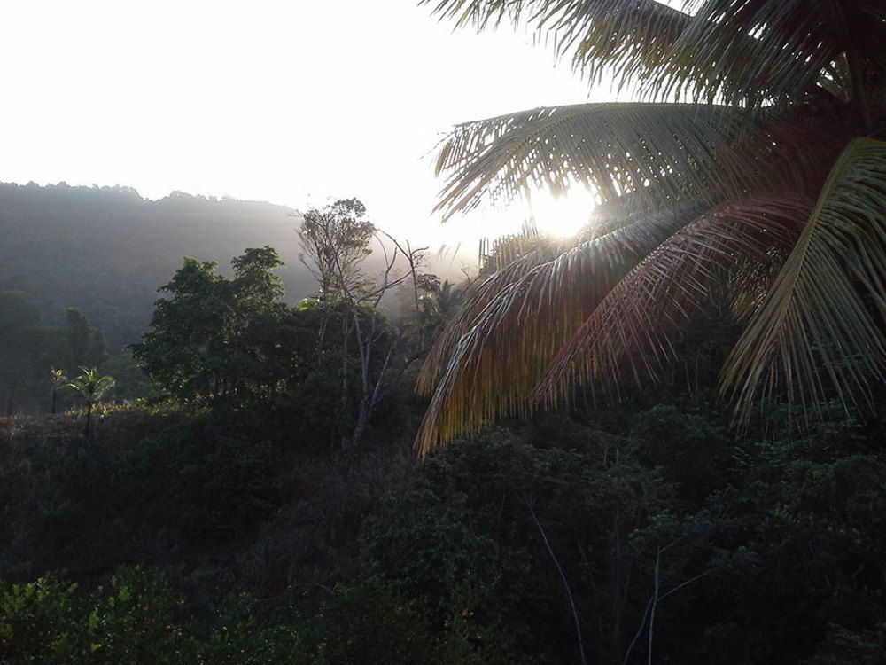 Las Cuevas Beach Lodge Kültér fotó